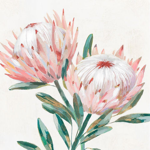 King Protea I White Modern Wood Framed Art Print with Double Matting by Isabelle Z