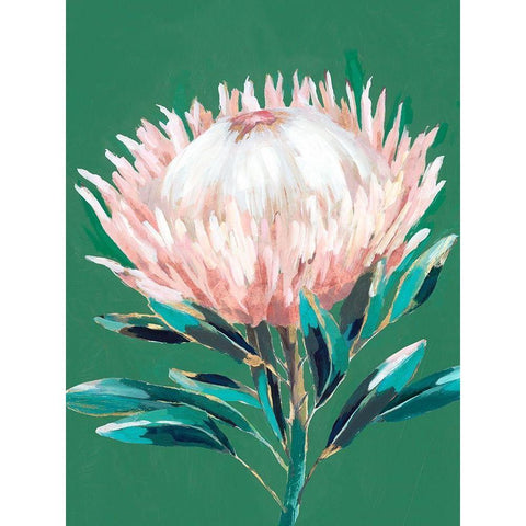 Single King Protea  Black Modern Wood Framed Art Print with Double Matting by Isabelle Z