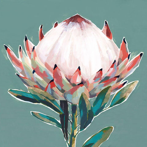 Blooming King Protea  Black Modern Wood Framed Art Print with Double Matting by Isabelle Z