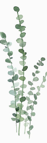 Fresh Eucalyptus White Modern Wood Framed Art Print with Double Matting by Isabelle Z