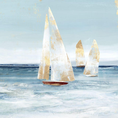 Mainsail II   Black Ornate Wood Framed Art Print with Double Matting by Isabelle Z