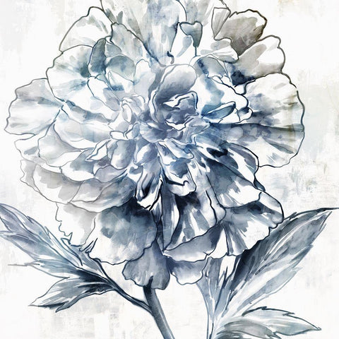Japanese Peony II Black Modern Wood Framed Art Print with Double Matting by Isabelle Z