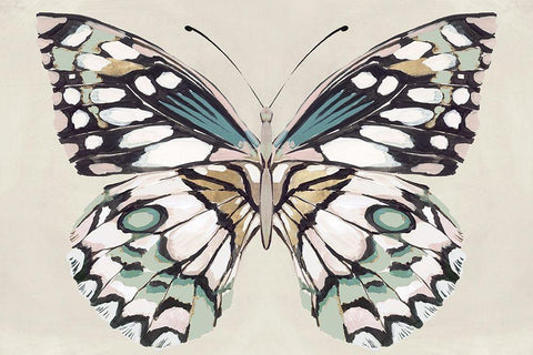 Butterflys Kiss I  White Modern Wood Framed Art Print with Double Matting by Isabelle Z