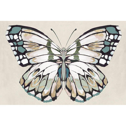 Butterflys Kiss II Black Modern Wood Framed Art Print with Double Matting by Isabelle Z