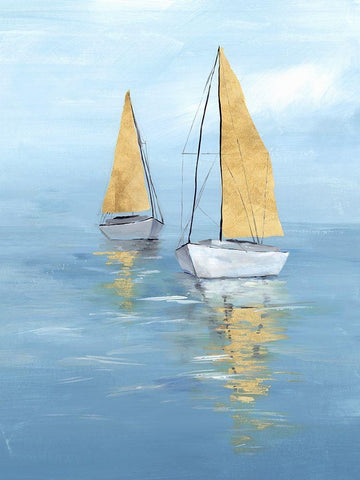 Golden Sail II Black Ornate Wood Framed Art Print with Double Matting by Isabelle Z