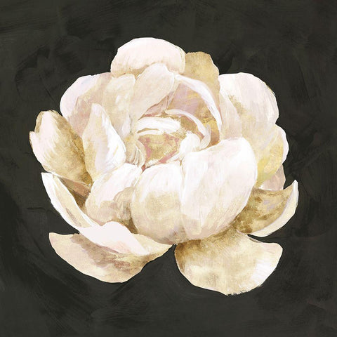 White Blooming Flower I  Gold Ornate Wood Framed Art Print with Double Matting by Isabelle Z