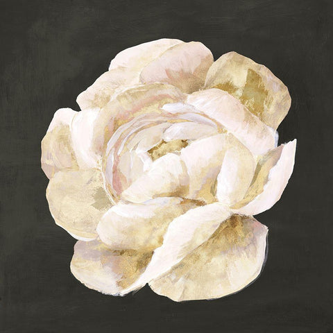 White Blooming Flower II Black Modern Wood Framed Art Print with Double Matting by Isabelle Z