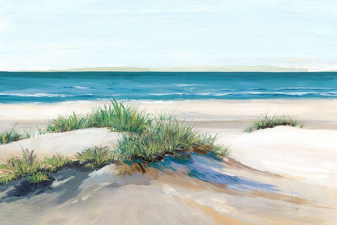 Beach Sand Dune II Black Ornate Wood Framed Art Print with Double Matting by Isabelle Z