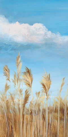 Pampas I  White Modern Wood Framed Art Print with Double Matting by Isabelle Z