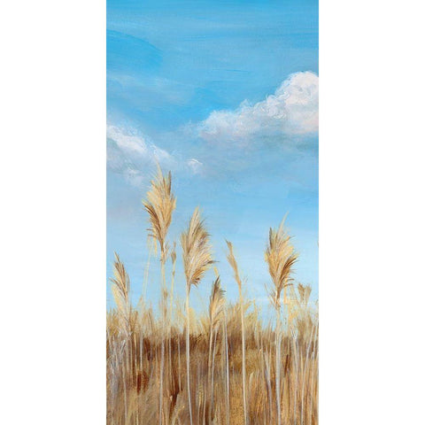 Pampas II Black Modern Wood Framed Art Print with Double Matting by Isabelle Z