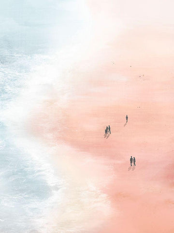 Pink Sand Beaches I Black Ornate Wood Framed Art Print with Double Matting by Isabelle Z