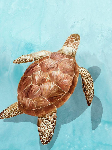 Ocean Deep Turtle I White Modern Wood Framed Art Print with Double Matting by Isabelle Z