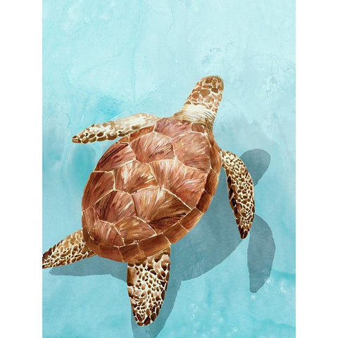 Ocean Deep Turtle I Black Modern Wood Framed Art Print by Isabelle Z
