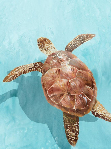 Ocean Deep Turtle II Black Ornate Wood Framed Art Print with Double Matting by Isabelle Z