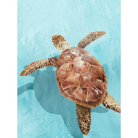 Ocean Deep Turtle II Black Modern Wood Framed Art Print with Double Matting by Isabelle Z