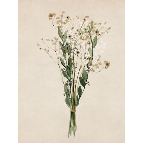 Vintage Dried Bunch I  Black Modern Wood Framed Art Print with Double Matting by Isabelle Z