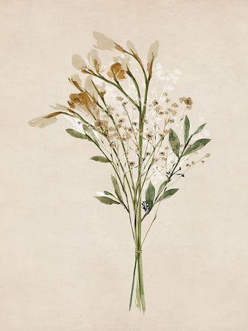 Vintage Dried Bunch II White Modern Wood Framed Art Print with Double Matting by Isabelle Z