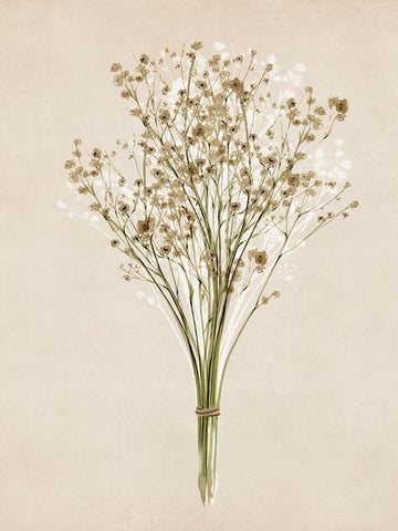 Vintage Dried Bunch III Black Ornate Wood Framed Art Print with Double Matting by Isabelle Z