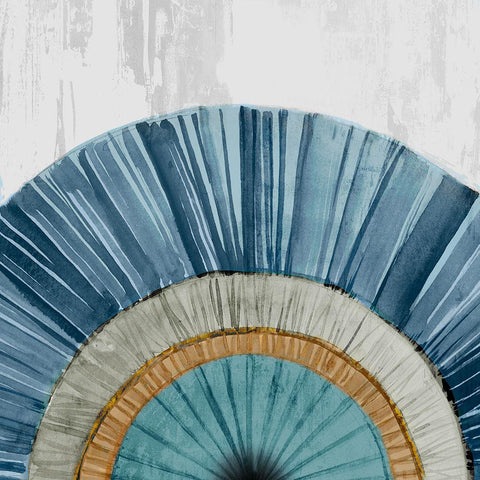 Arizona Fan I Blue Version Black Modern Wood Framed Art Print with Double Matting by Isabelle Z
