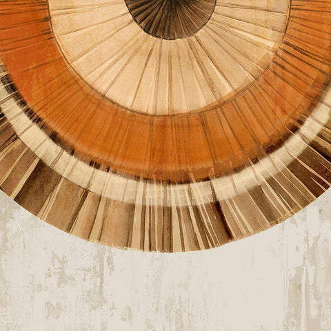 Arizona Fan II Black Modern Wood Framed Art Print with Double Matting by Isabelle Z