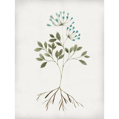 Rooted Floral III White Modern Wood Framed Art Print by Isabelle Z