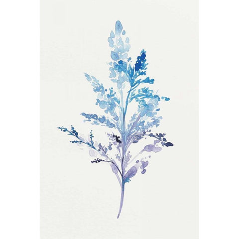 Whimsical Botanical II Black Modern Wood Framed Art Print with Double Matting by Isabelle Z