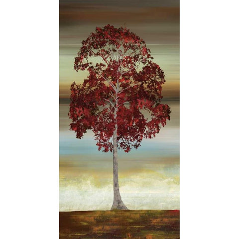 Swept Away II White Modern Wood Framed Art Print by Fontaine, Drako