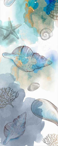 Shell Reflections II - Mini Black Ornate Wood Framed Art Print with Double Matting by Fontaine, Drako