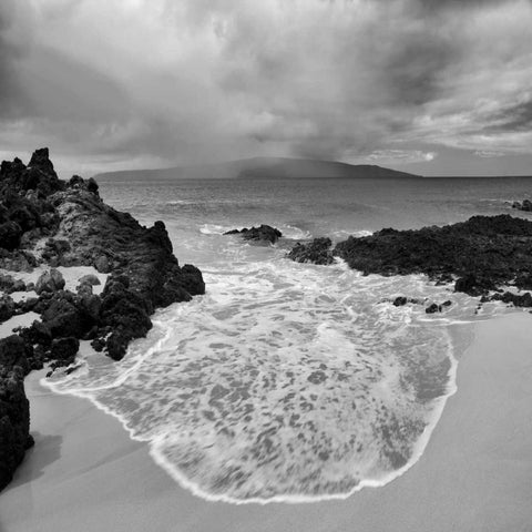 Beach Oasis Black Modern Wood Framed Art Print with Double Matting by Frates, Dennis