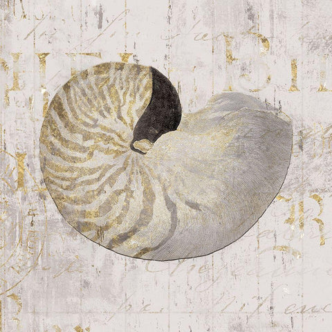 Golden Vintage Shell II Black Modern Wood Framed Art Print by Zaman, Farida