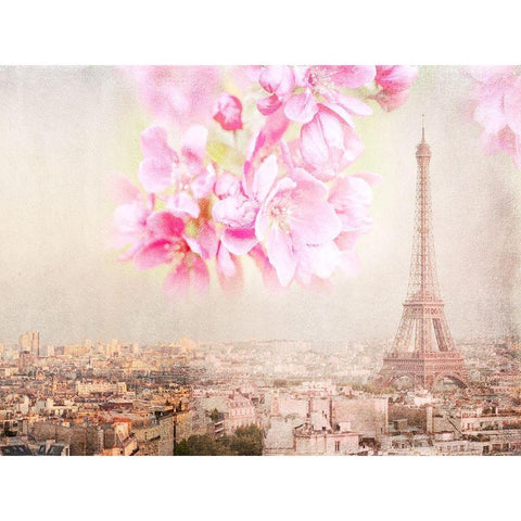 Tour Eiffel Rose Black Modern Wood Framed Art Print with Double Matting by Lane, Georgianna