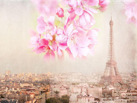 Tour Eiffel Rose White Modern Wood Framed Art Print with Double Matting by Lane, Georgianna