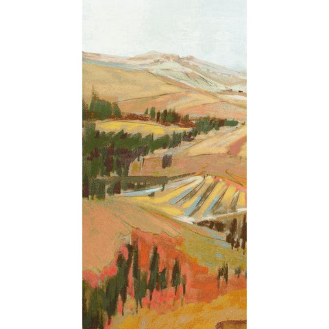 Tuscany Landscape I Black Modern Wood Framed Art Print with Double Matting by Gardner, Jennifer