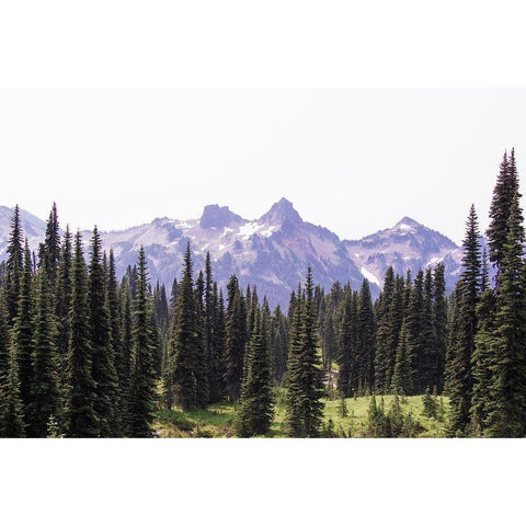 Alpine Forest Mountain Adventure Black Modern Wood Framed Art Print with Double Matting by Nature Magick