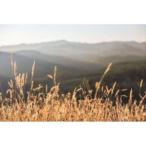 Mountain and Fall Fields Black Modern Wood Framed Art Print with Double Matting by Nature Magick