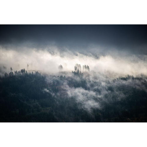 Fir Trees in the Forest Fog Blue Gold Ornate Wood Framed Art Print with Double Matting by Nature Magick