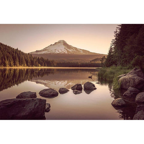 Mountain Forest Lake Sunrise Black Modern Wood Framed Art Print with Double Matting by Nature Magick