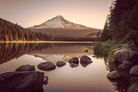 Mountain Forest Lake Sunrise White Modern Wood Framed Art Print with Double Matting by Nature Magick