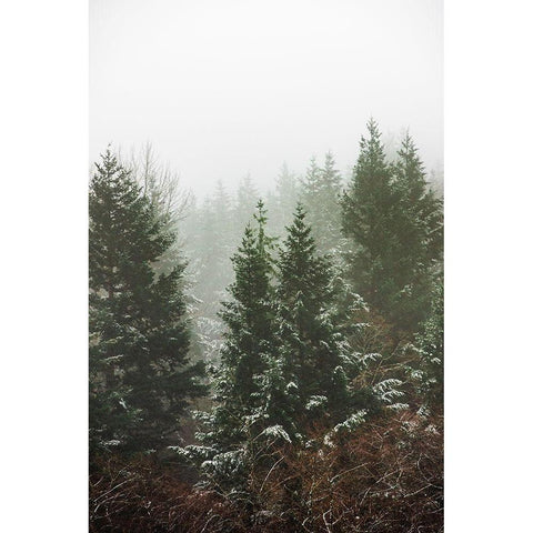 Forest Fog Winter Snow II White Modern Wood Framed Art Print by Nature Magick