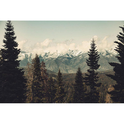 Snow Capped Mountain Forest Black Modern Wood Framed Art Print by Nature Magick