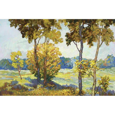 Windstill II Black Modern Wood Framed Art Print with Double Matting by Reynolds, Graham