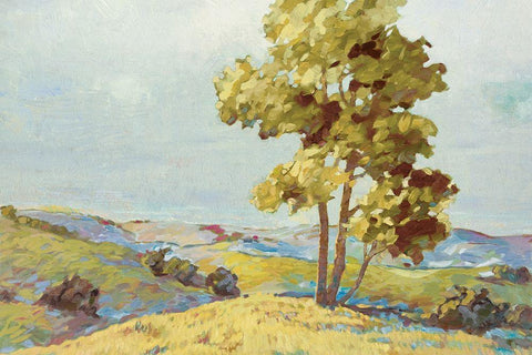 Sandhills I White Modern Wood Framed Art Print with Double Matting by Reynolds, Graham