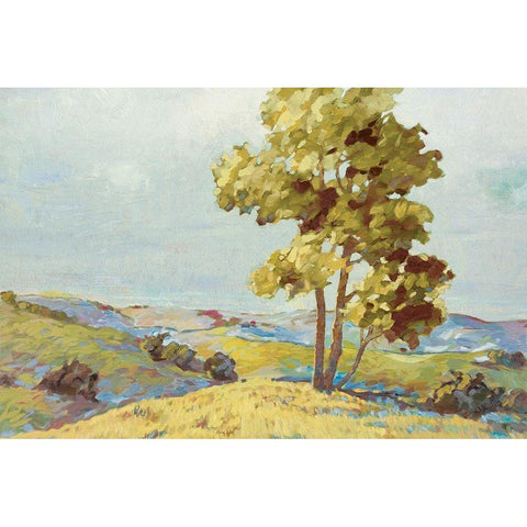 Sandhills I Black Modern Wood Framed Art Print by Reynolds, Graham