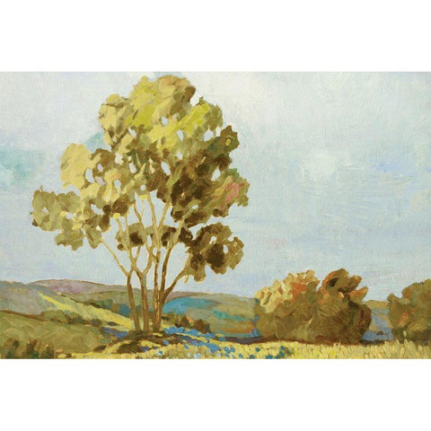 Sandhills II Black Modern Wood Framed Art Print by Reynolds, Graham