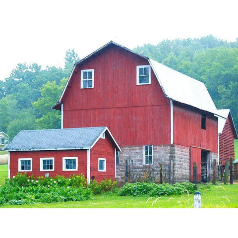 Spring Red Barn  Gold Ornate Wood Framed Art Print with Double Matting by Wilson, Gerry