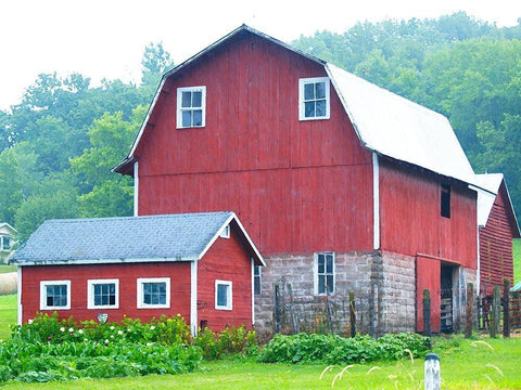 Spring Red Barn  Black Ornate Wood Framed Art Print with Double Matting by Wilson, Gerry