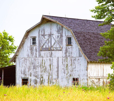 Barn Home  White Modern Wood Framed Art Print with Double Matting by Wilson, Gerry