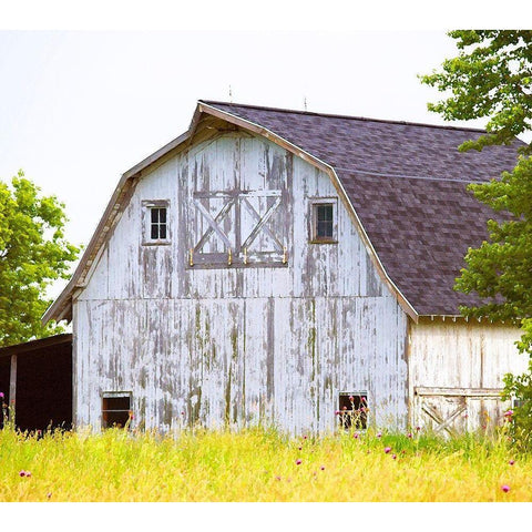Barn Home  White Modern Wood Framed Art Print by Wilson, Gerry