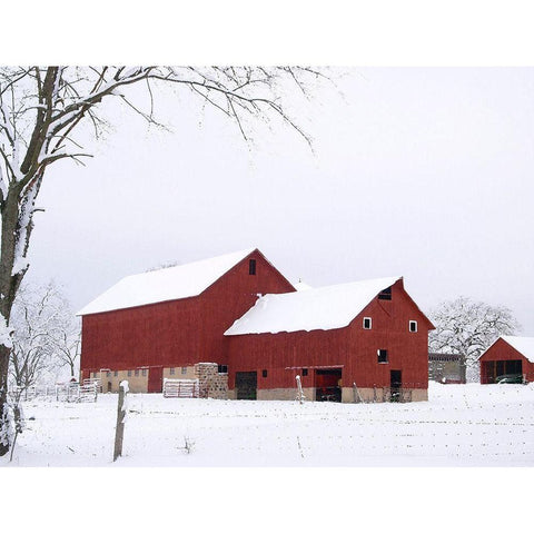 Red Winter Barn  Black Modern Wood Framed Art Print by Wilson, Gerry