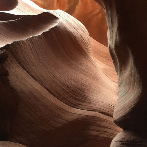 Coral Antelope Canyon I Black Ornate Wood Framed Art Print with Double Matting by Wilson, Gerry